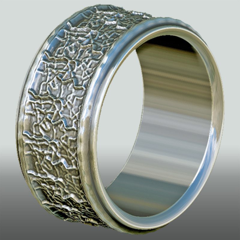 Bandring No. 5, Ansicht 1