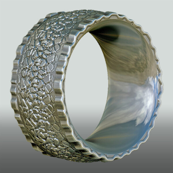 Bandring No. 7, Ansicht 1